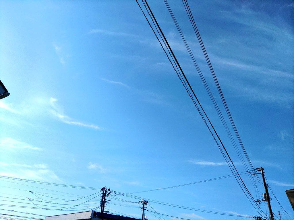 おはにょうございます☀️
蝉の鳴き声で起こされるモーニングです🌴昨日のライブのお礼はのちほど改めて😌本日も灼熱ジョブ🔥いや、一時より空気がカラッとしてきて楽になってきたかな？それでも気を抜かずこまめに水分をば。サタデージョブ行ってきます💨きょうもいちにちえいえいおー👊✨