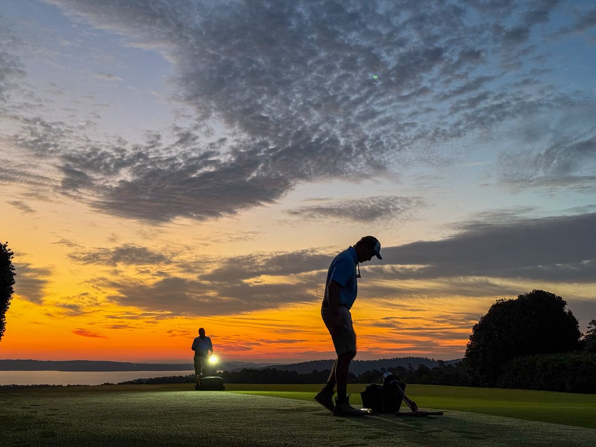 Koji Mitchell tweet media