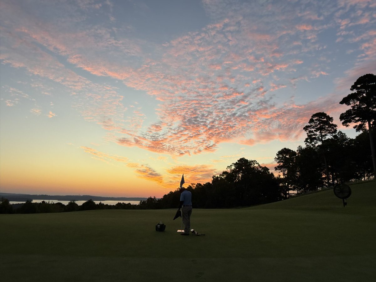 Koji Mitchell tweet media