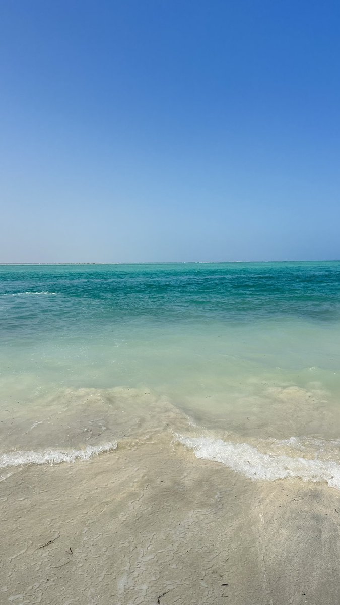 http14325's tweet image. 🇹🇳