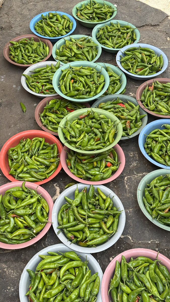 http14325's tweet image. 🇹🇳