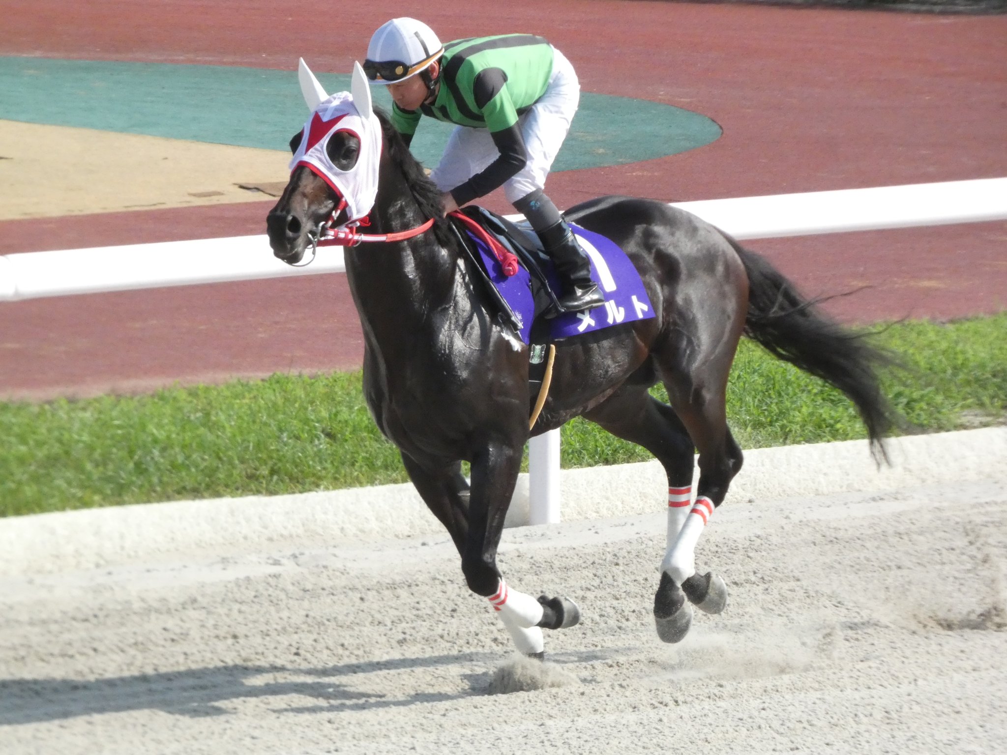 ❤️関西＆関東❤️競馬・四季報★春夏秋冬★大量セット mackmackmack69 on X: 