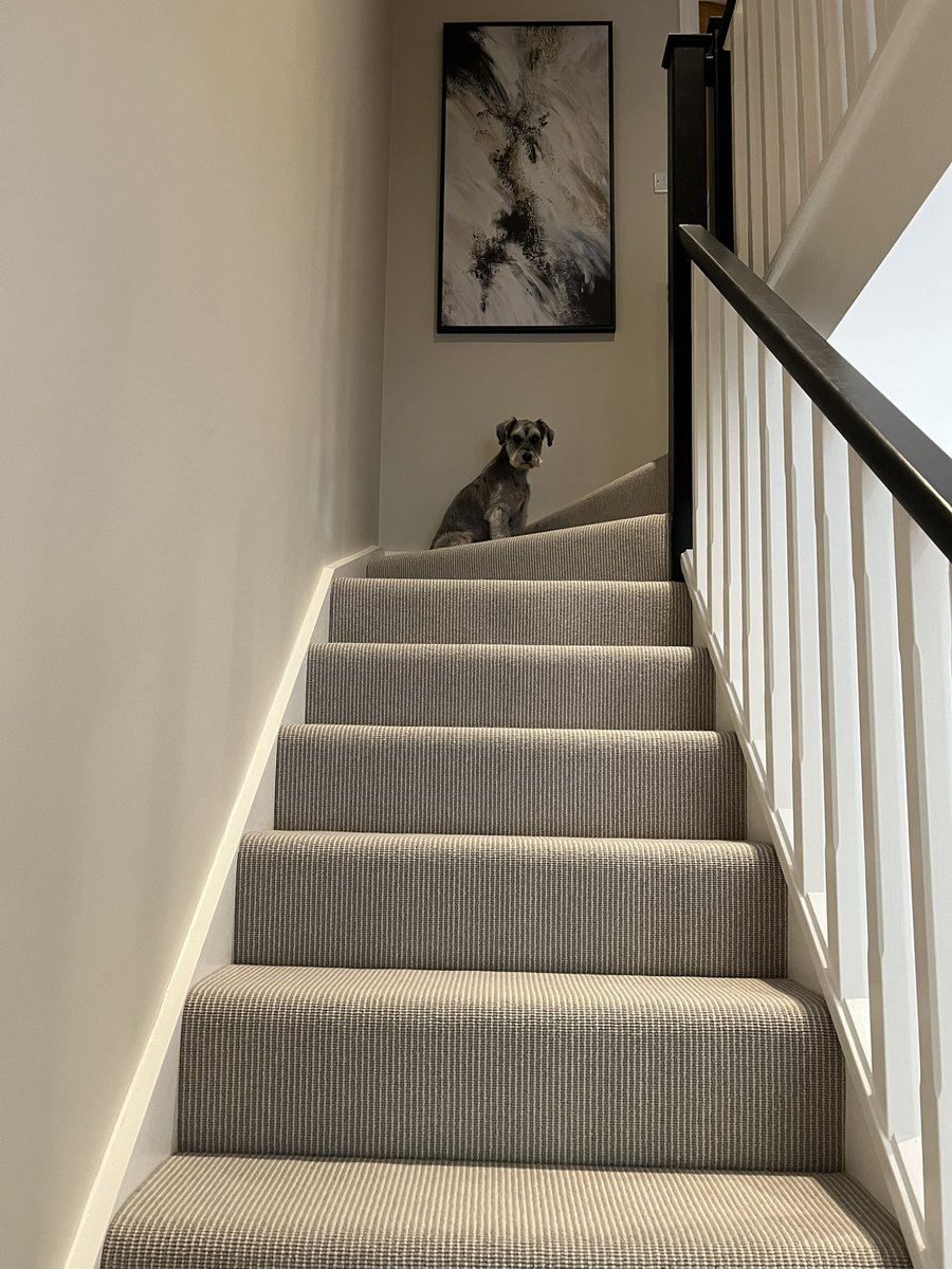 Arthur Schnauzer tweet media