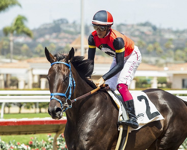 SoSRacingStable's tweet photo. Margarita Girl finally shines! 🌟 After 6 gritty tries, she breaks through with Antonio Fresu aboard—what a partnership! Persistence, patience, and pure heart carried her home. 🍹🏇 #TeamSoS #MargaritaGirl #FresuMagic https://t.co/7a2EKE6j1r