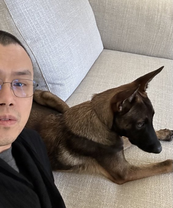 post pics of your dogs

if your dog is really cute

we will send you coins