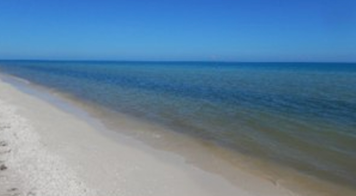 HazRuidoYuc's tweet photo. Cinvestav detecta disminución de la #MareaRoja

Considera que existe poco riesgo para el uso recreativo en las playas de #Celestún y la zona entre #Chelem y #DzilamDeBravo.➡️https://t.co/VtKZDjXi73 https://t.co/T1GDhsJTwB