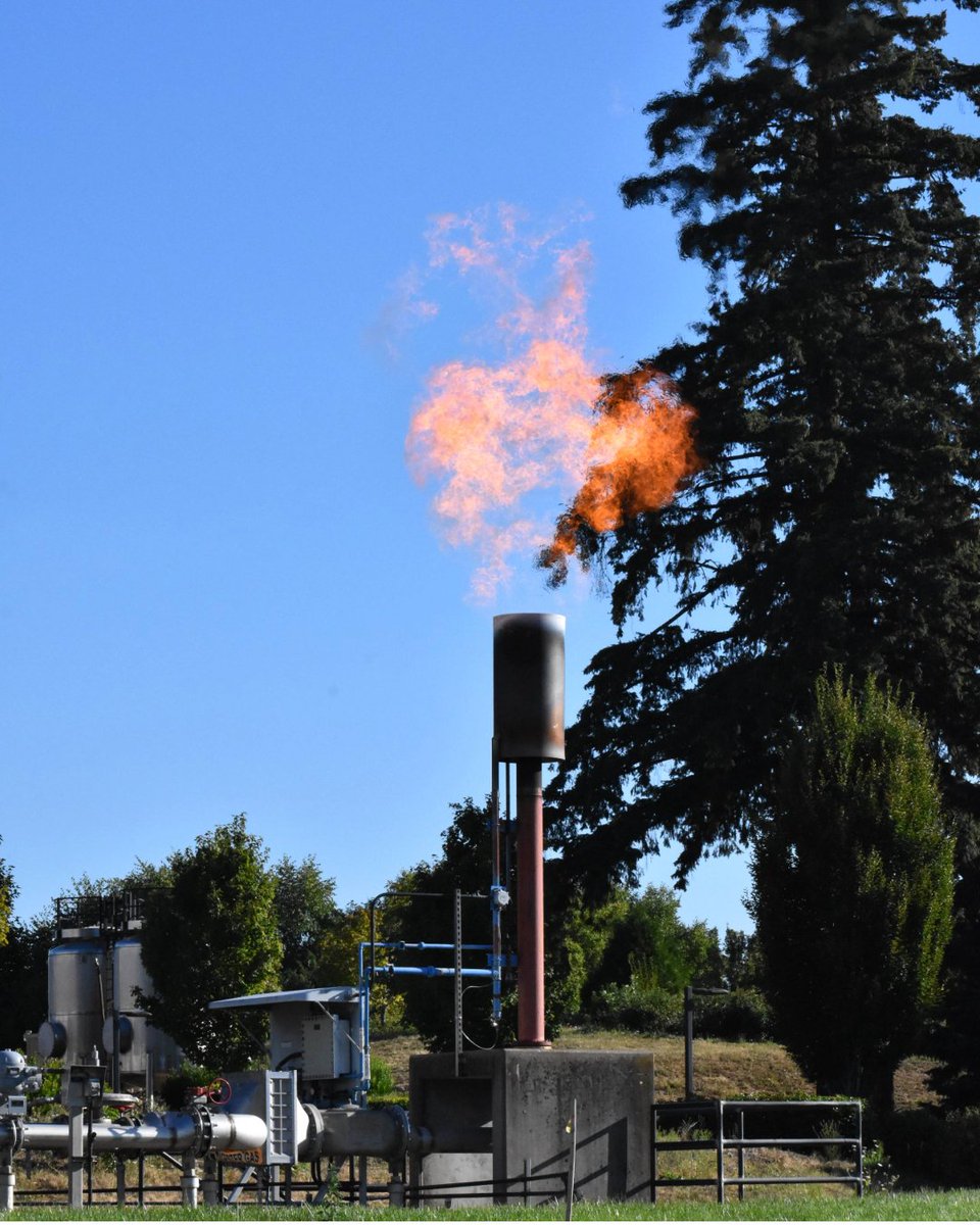 💡 Did you know your Durham Facility treats about 26 million gallons of wastewater daily from Tigard, Tualatin, Sherwood, and nearby communities? And provides reuse water to support local parks and landscapes.
🔗cleanwaterservices.org/our-water/trea…

#FacilityFriday #NationalWaterQualityMonth