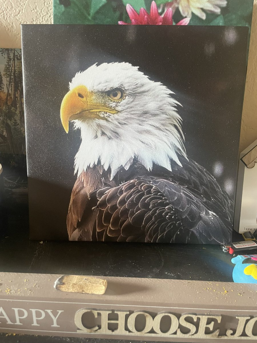 db_persoectives's tweet image. New canvas