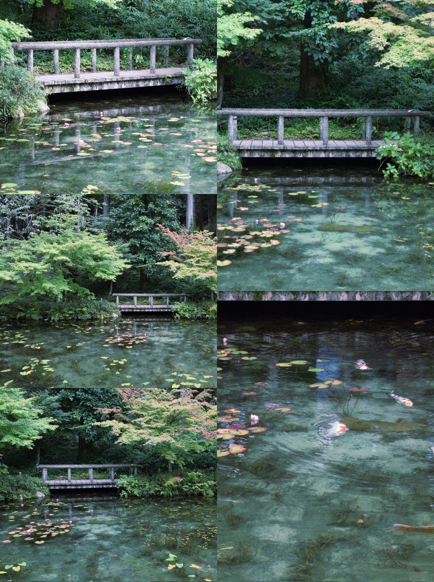 King Joe on X King Joe on X