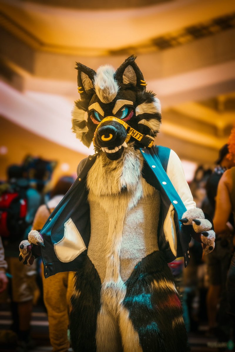 ✨Speakeasy✨🔜LVFC (@tallawoo) on Twitter photo Meet me after the big game?
✂️: <a href="/WolfSkin_Studio/">•𝕎𝕠𝕝𝕗𝕊𝕜𝕚𝕟 𝕊𝕥𝕦𝕕𝕚𝕠s•</a>
📸: <a href="/tecariowolf/">Tecario 🔜 TFS, FD, MP, AFC</a>
🎨: <a href="/VazliAfalon/">Fruity bird-fox 🍉</a>
#FursuitFriday Meet me after the big game?
✂️: <a href="/WolfSkin_Studio/">•𝕎𝕠𝕝𝕗𝕊𝕜𝕚𝕟 𝕊𝕥𝕦𝕕𝕚𝕠s•</a>
📸: <a href="/tecariowolf/">Tecario 🔜 TFS, FD, MP, AFC</a>
🎨: <a href="/VazliAfalon/">Fruity bird-fox 🍉</a>
#FursuitFriday