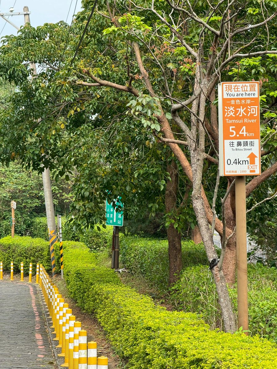 都会の喧騒の中でも、一面の緑を見つけられます🌿
淡水河沿いをゆっくり歩くと、一歩一歩が心のリラックスになります🚶‍♀️