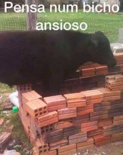 muito foda o Robert Renan falando que ainda faltam alguns detalhes com o Zenit enquanto a filha dele já tá com a roupinha do Vasco
