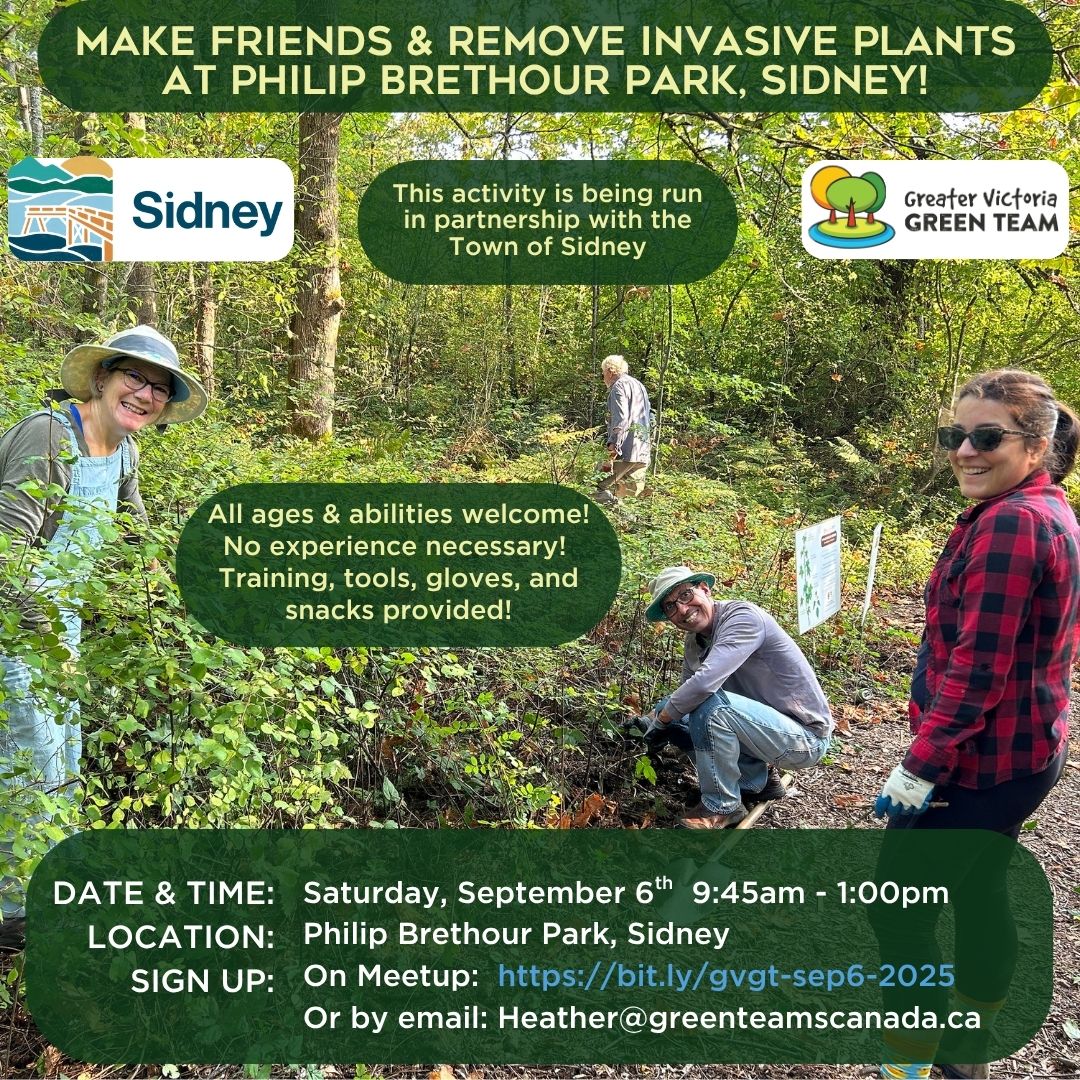 GVGreenTeam's tweet image. Join us &amp;amp; @townofsidneybc on Sep. 6 in Philip Brethour Park to connect with the community &amp;amp; remove invasive plants!
Details &amp;amp; sign up: bit.ly/gvgt-sep6-2025