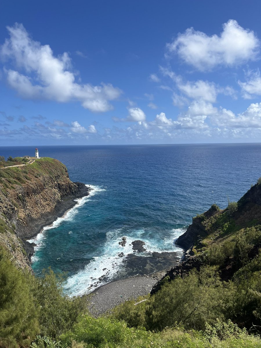 What a week it was in Kauai paradise! Aloha! 😎😎