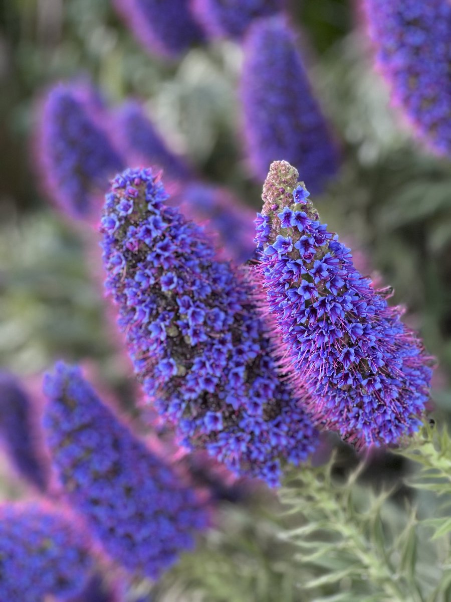 marcinca3 tweet media