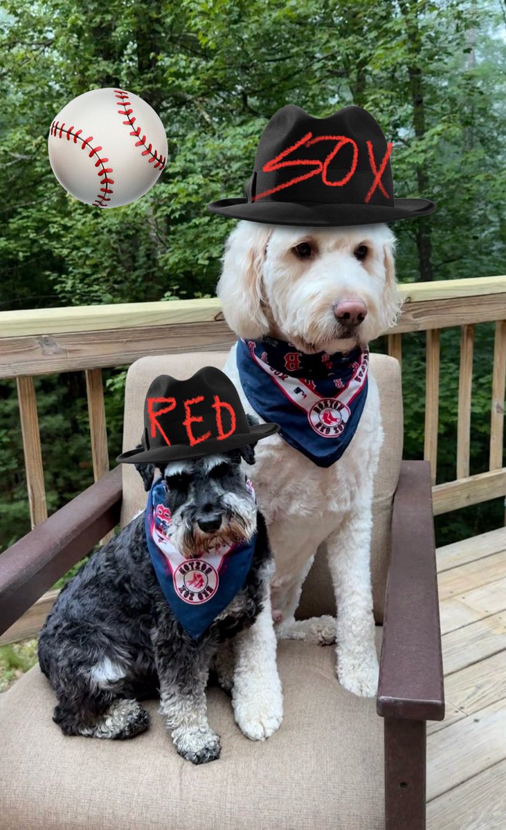 Play Ball!