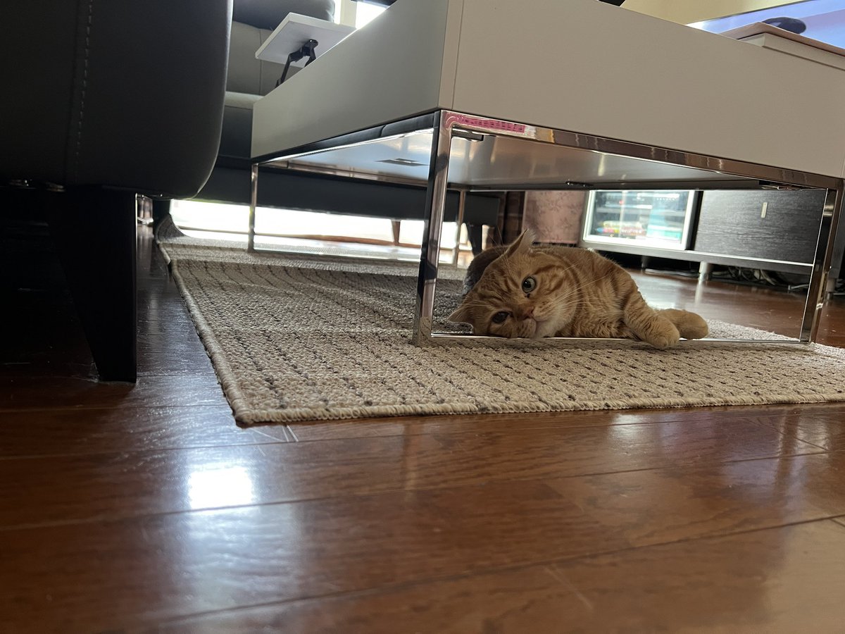 おはようございます
魂抜けてないかい？🤔