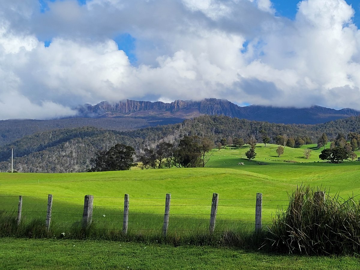 pepperbushtas's tweet photo. 🤠🚙👀📸 Northeast Tasmania throws up some stunning landscapes - Upper Blessington &amp; Ben Lomond https://t.co/7wGK8JersH