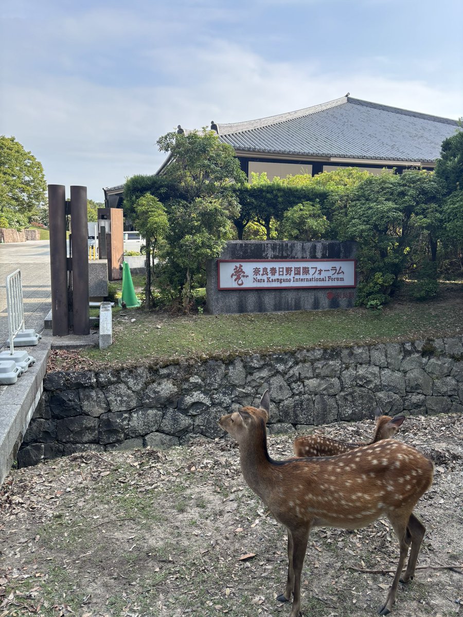 CE_YukimaI's tweet photo. お散歩🦌 https://t.co/xmcAlsUBW5