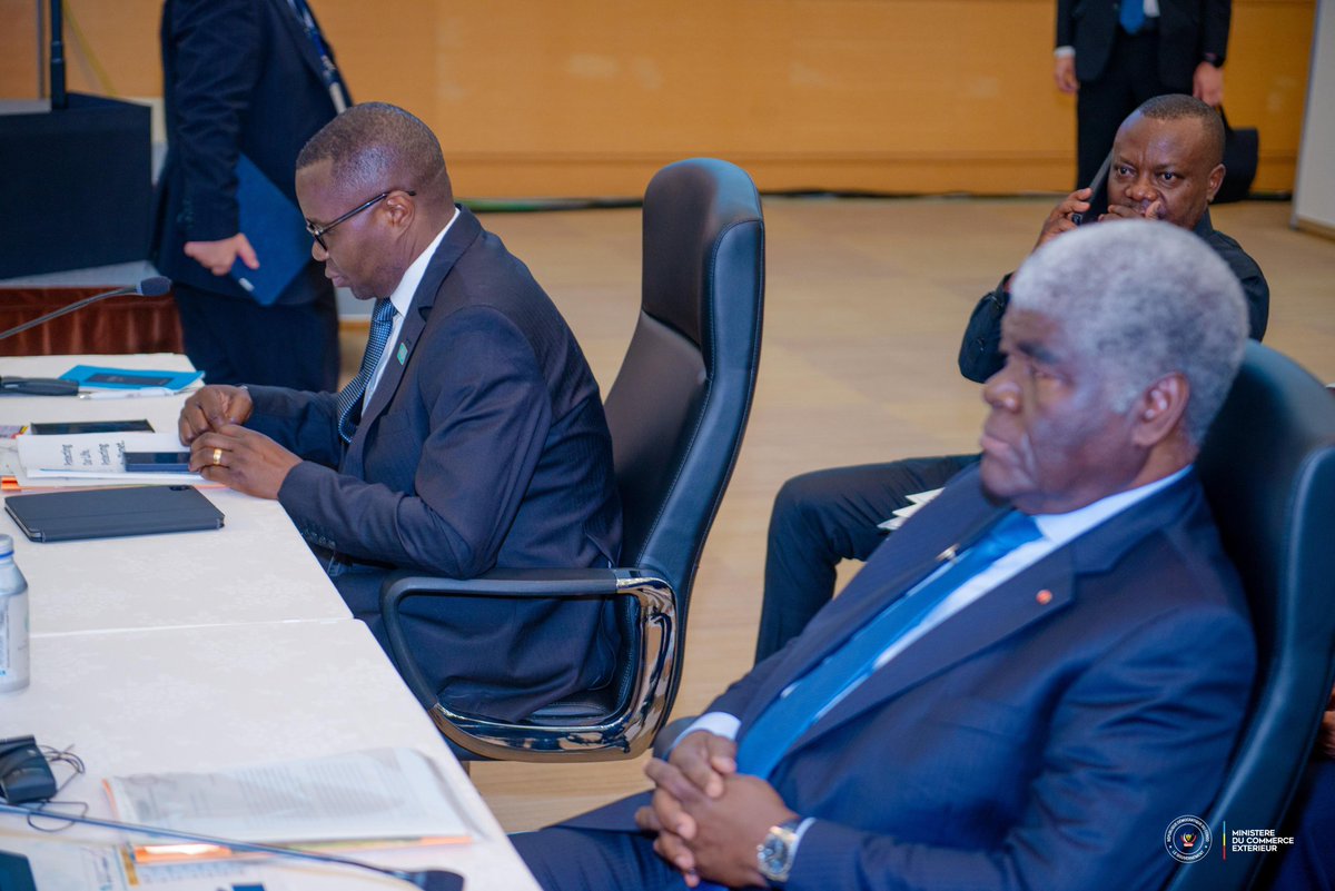 MbulukuMoise's tweet image. Le Ministre du Commerce Extérieur @MinComex_RDC a aussi salué le nouveau partenariat stratégique avec l’Organisation Japonaise du Commerce Extérieur,qui renforcera les capacités de l’#ANAPI @investindrc et  l’#ANAPEX,facilitant l’arrivée de grandes entreprises japonaises. 

#FIN