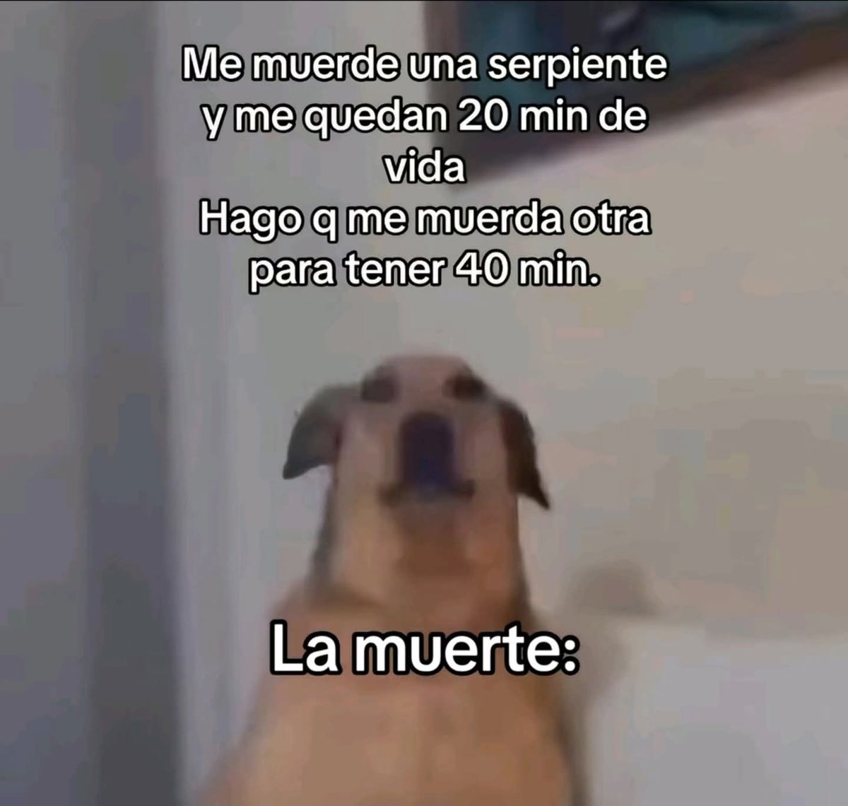 M O T I V A N D O T E (@m0tivand0te) on Twitter photo 