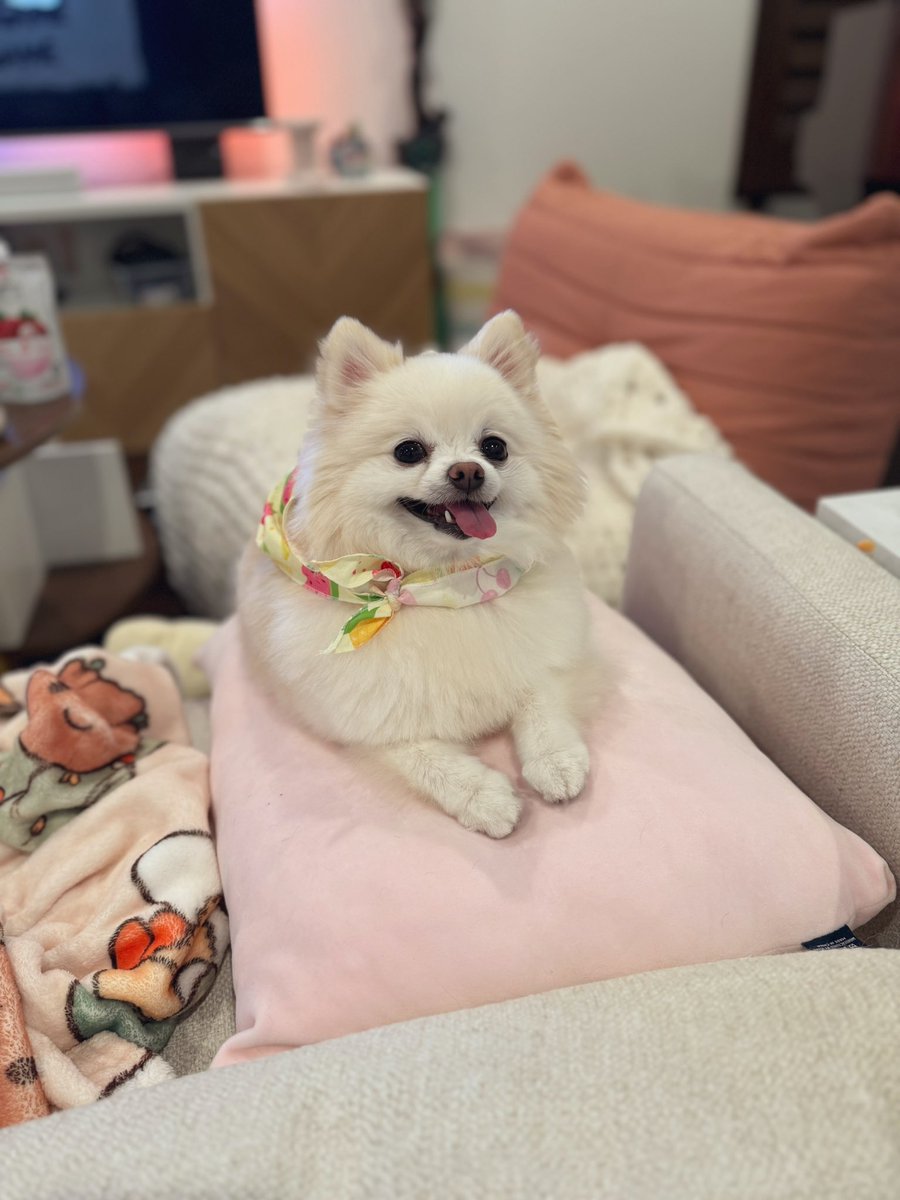 my gymnastics star!!!