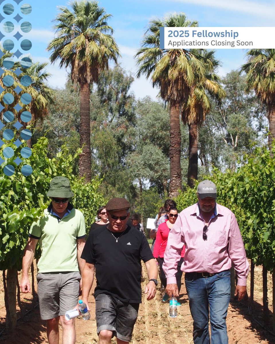 AAVWS 2025 FELLOWSHIP – LAST CHANCE TO APPLY! 

Applications close Friday, 29th August 2025! 

Thanks to the ongoing commitment of our incredible partner @longviewvineyard

#AAVWS #WineFellowship #AlternativeVarieties #MilduraWineShow #LongviewVineyard