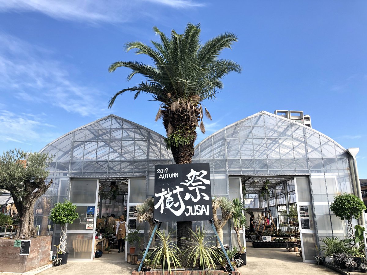 STAFF_take's tweet photo. #樹祭2025autumn
出店者情報公開されています🌴
2016より続いた健樹園での樹祭はこれでラスト。樹祭に思い出がある方、音楽と植物に癒されたい方は是非ご来場ください😌
#坪井健樹園

https://t.co/Hr5OKzXadl https://t.co/eT9X0FxtnL