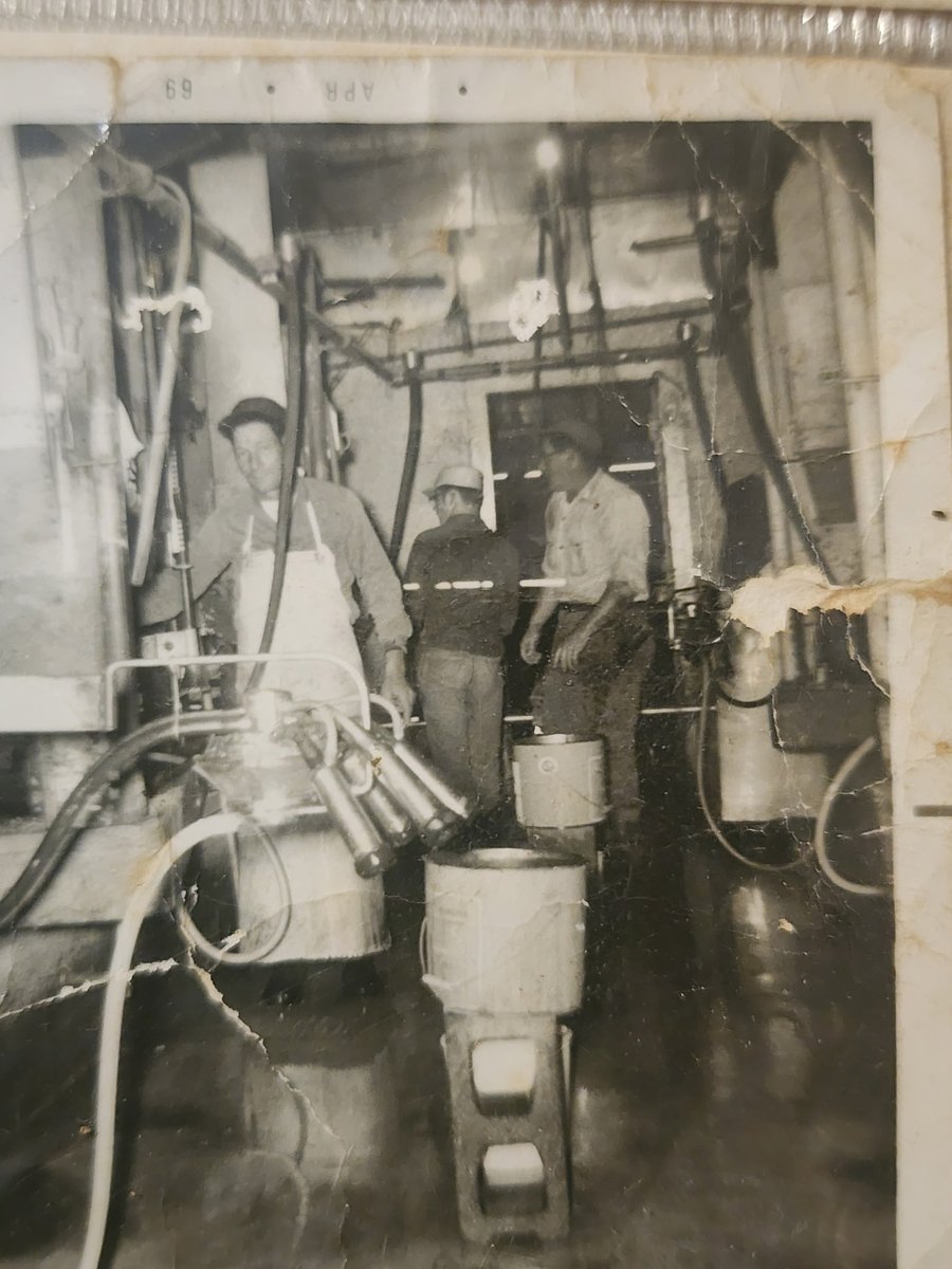 Ol_Butch's tweet image. Hanging out with my Uncle and talking about growing up on the Randig Dairy in E Travis County. 
And how we really direct descendants of the 1st people who layed the blueprint for modern Agricultural in C. TX 
Our ancestors were grazing and drivn 🐮 to W. TX n NM b4 The railroad🧭