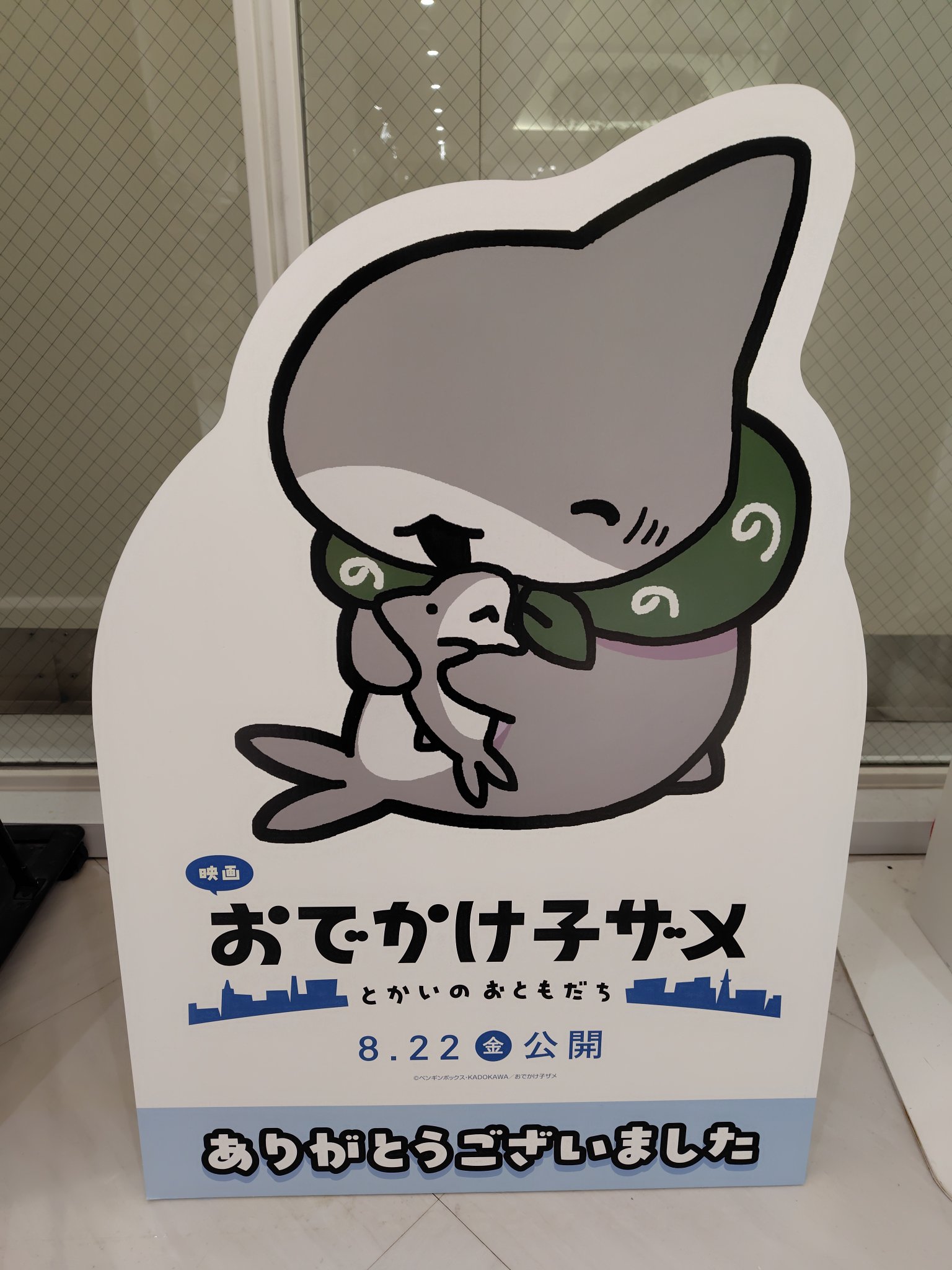 ザメちゃん確認 子ザメとうさめちゃん | ペンギンボックス@子ザメ7巻&映画化