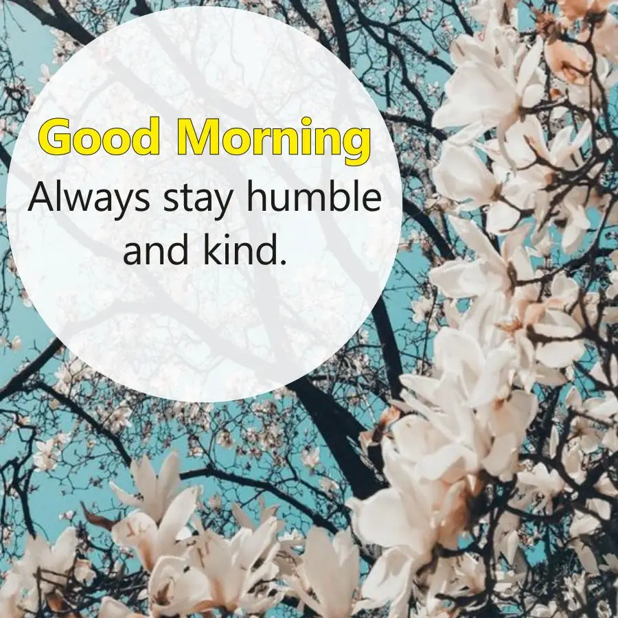 السلام عليكم ورحمة الله وبركاتهُ 

حقیقی آنکھ والا وہ ہے جو اپنے عروج میں زوال کا منظر دیکھے جو اپنی بلند عمارتوں کو پیشگی طور پر کھنڈر ہوتا ہوا دیکھے۔اس کے بعد انسان کا گھمنڈ میں مبتلا ہونا ناممکن ہے ۔
صبح بخیر!!!🌻🌻