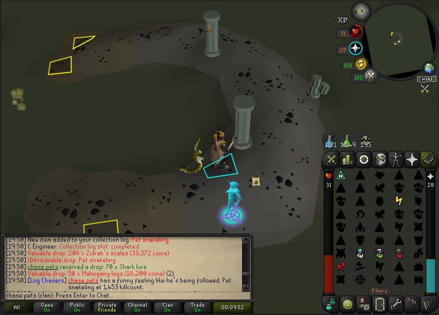 chase_osrs's tweet image. #26 Pet snakeling