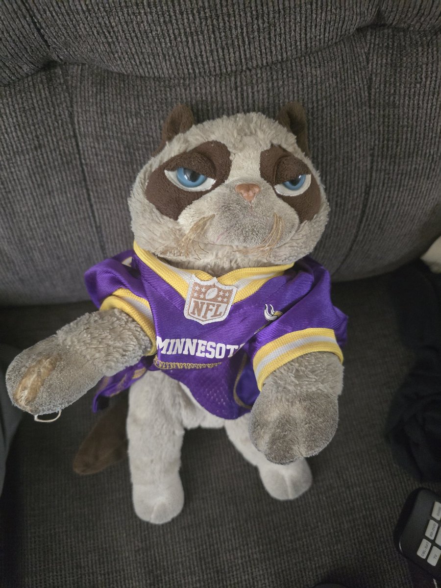 MNGFJC's tweet photo. 'Hello &amp; Good Evening, Minnesota Vikings fans. 

I'm Grumpy Football Jesus Cat &amp; Tonight is Vikings GameDay &amp; tonight the @Vikings are playing against the @Titans

Can I please get a "Skol Vikings?"

In Kevin O'Connell We Trust. Skol.' - GFJC https://t.co/kxi7AYmwcD