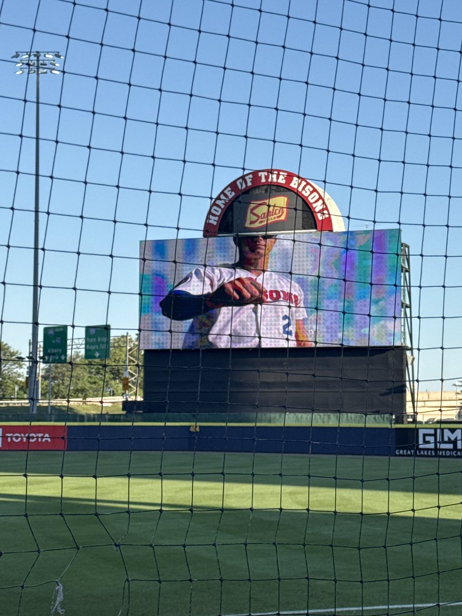 Shouts out buffalo bisons