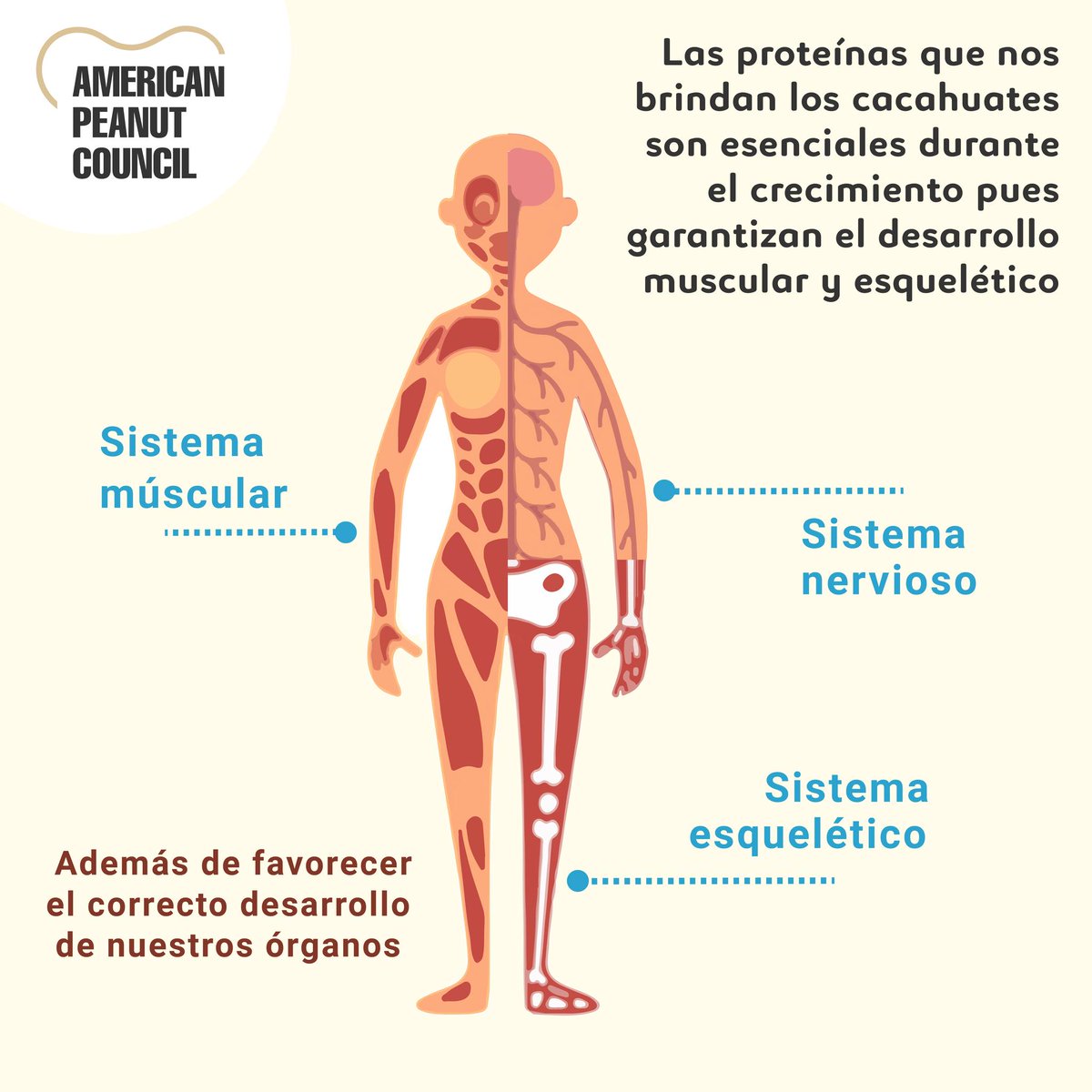 ¡Una razón más para disfrutar de un #snack delicioso y saludable! 🥜😉

¡Ponle energía a tu tarde!