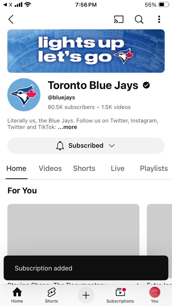 I am indeed subscribed now (apologies for taking so long)