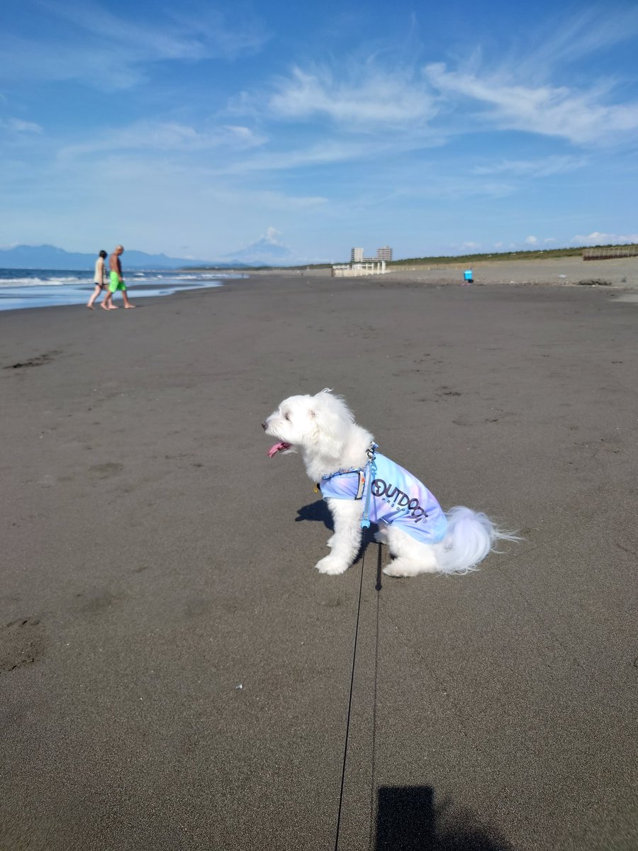 過ぎゆく夏を感じているんだ！だそうです🤓