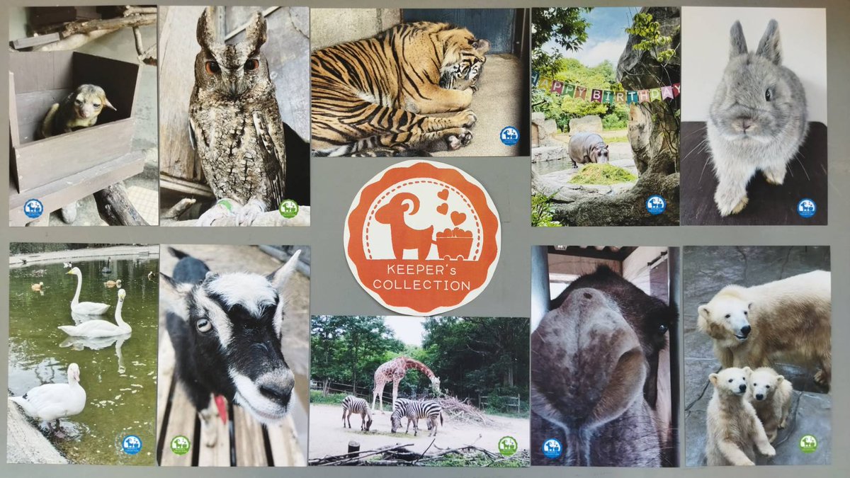 動物園学 動物園学 | 村田 浩一, 楠田 哲士 |本 | 通販 | Amazon