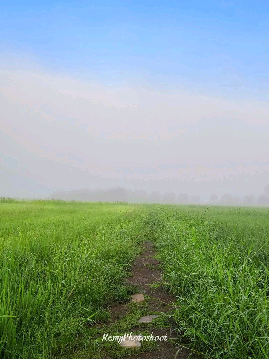 SALAM PERLIS

23 Ogos 2025 | 29 Safar 1447H

Selamat Pagi | Kabus Pagi @ Warung Tepi Sawah, Perlis

Kredit 📸 : Helmy Remy 

#PerlisPermai #SelamatPagi #SalamPerlis #VisitPerlis #TahunMelawatPerlis #TMP20242025 #Perlis💛💙 #Malaysia🇲🇾