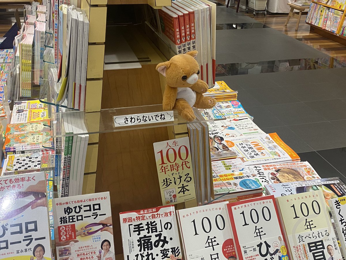 書店にて　さわられたくない猫