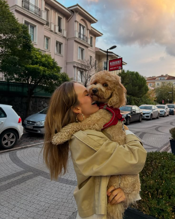 IvyWalker25's tweet photo. City walks hit different when you’ve got a fluffy sidekick 🐾❤️ She makes every sunset sweeter. #DogLife #UrbanPaws #FluffyCompanion #PetLove #SunsetSnuggles #DogsOfTwitter #DailyDogJoy https://t.co/QTZBIZsgqC