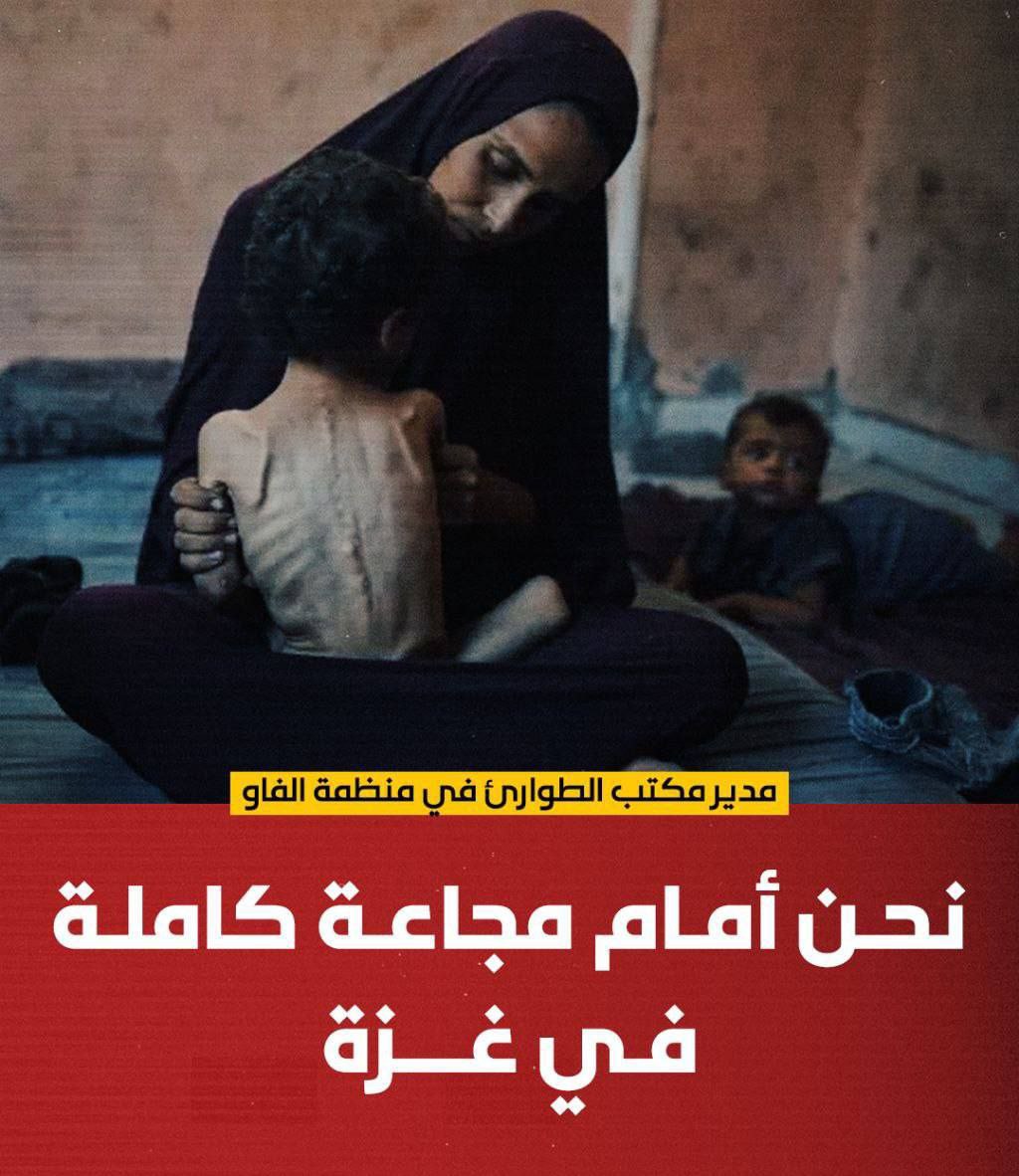 🔴 مدير مكتب الطوارئ في منظمة الفاو:

نحن أمام مجاعة كاملة في غزة