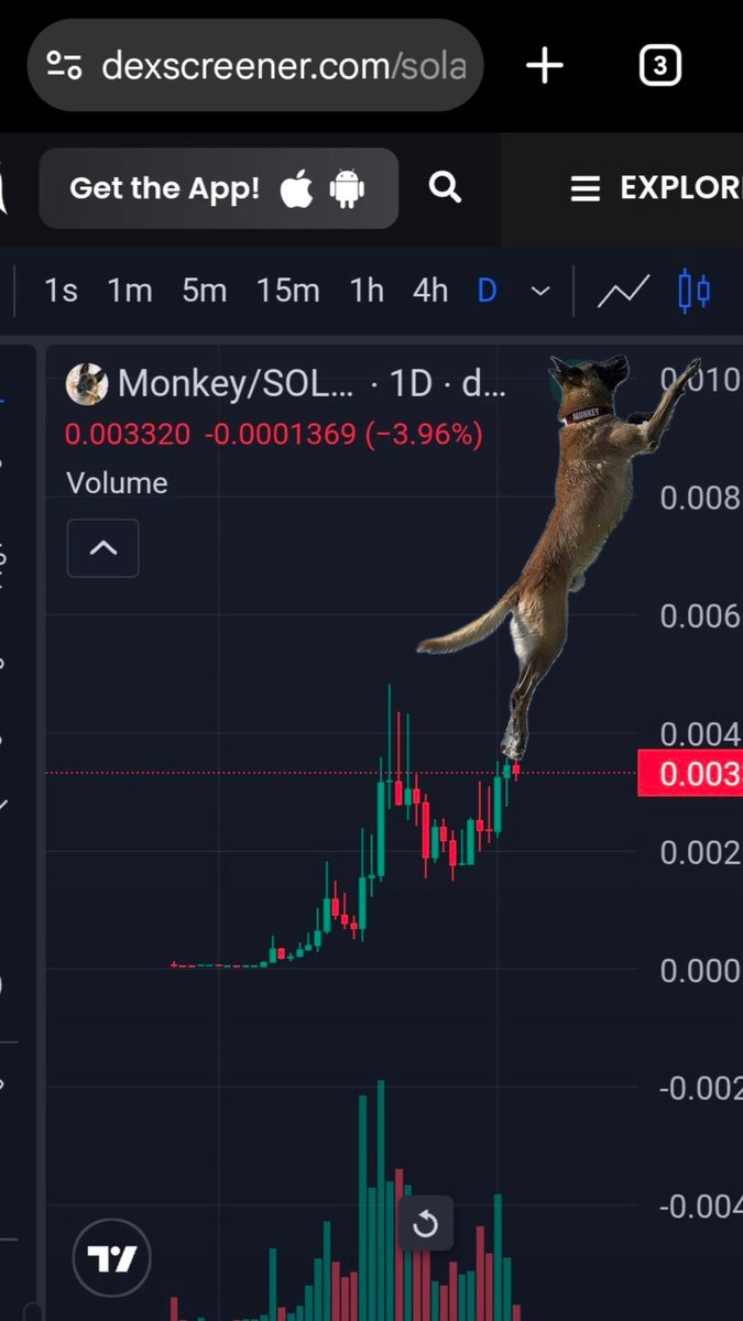 MONKEY MUSK (@m0nkeymusk) on Twitter photo Bull market + $Monkey…
Can you even picture the market cap?👀 Bull market + $Monkey…
Can you even picture the market cap?👀