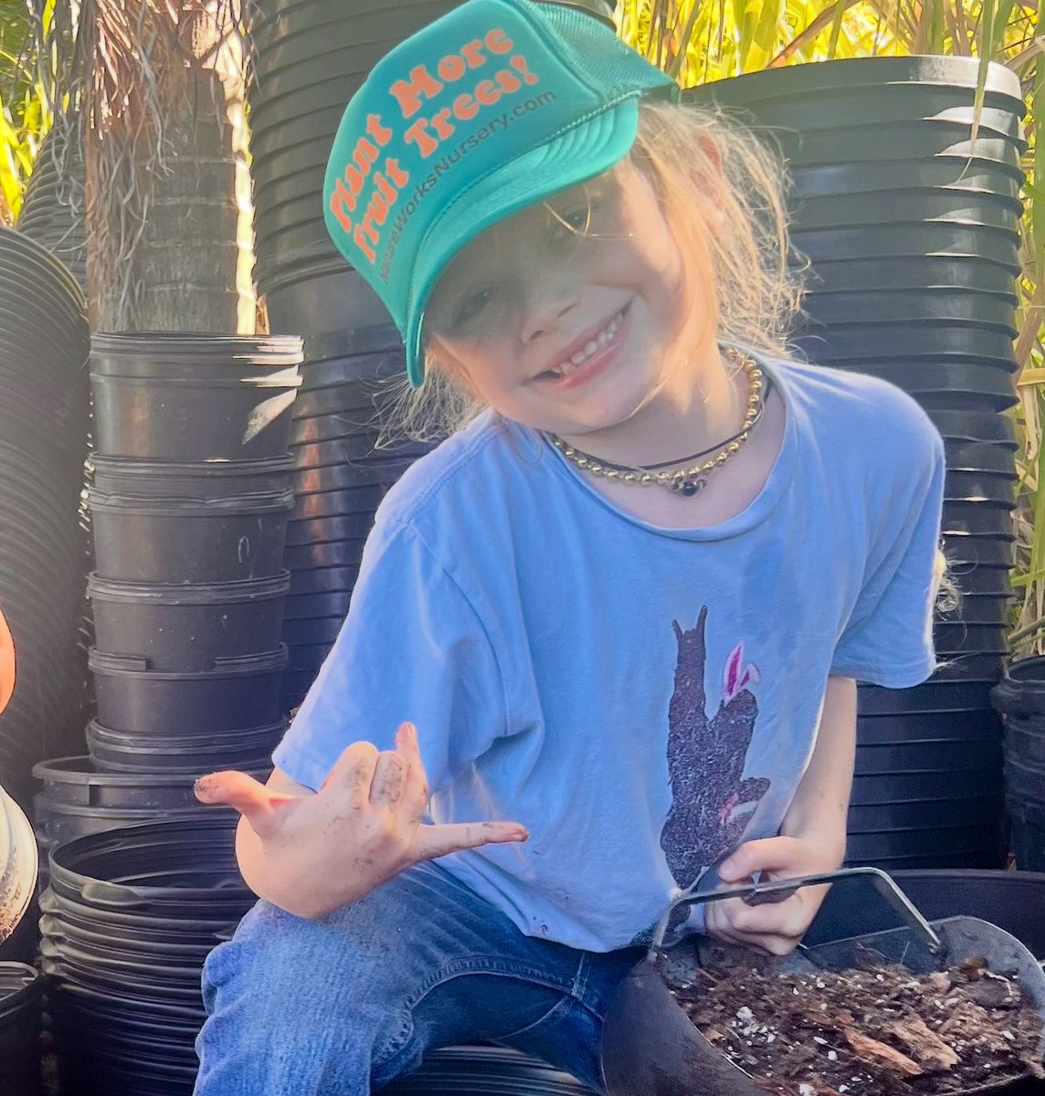 Treecovery Hawaii (@treecoveryhi) on Twitter photo What’s good What’s good