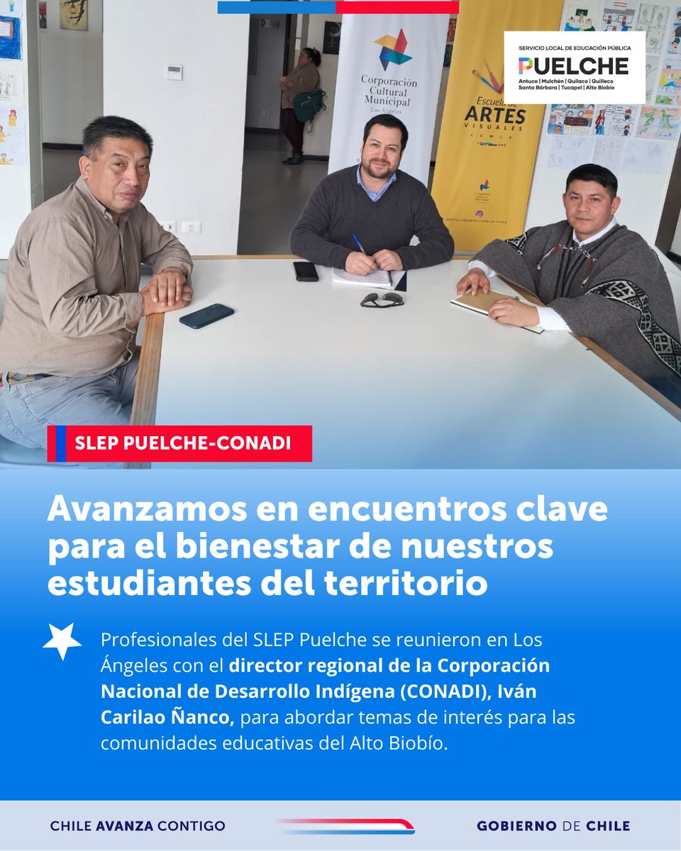 Servicio Local de Educación Pública Puelche tweet media