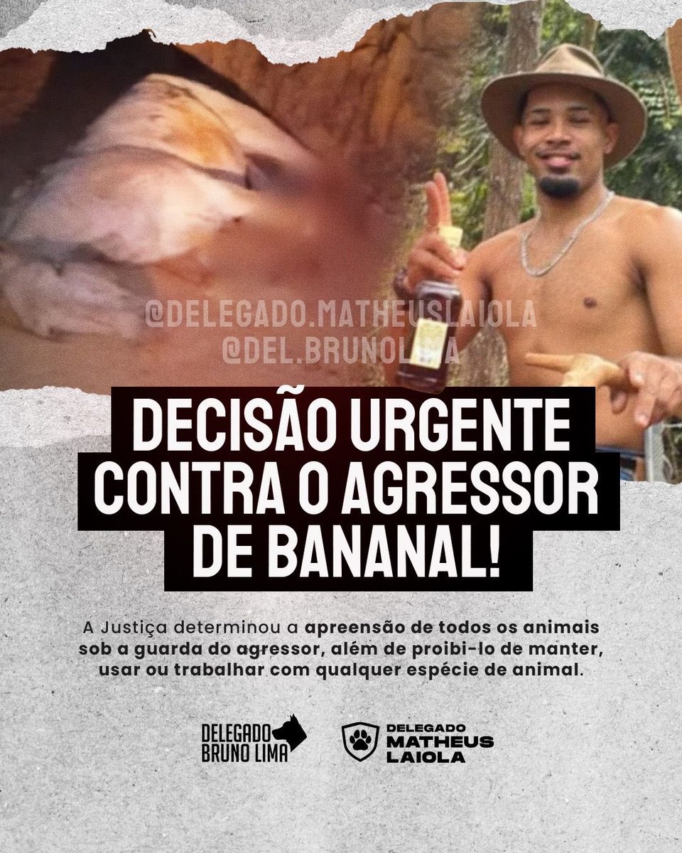 🚨 BANANAL SE TORNA UM MARCO NA LUTA ANIMAL! 🚨

O caso do cavalo que teve as patas mutil4das não terminou no horror da violênci4!

Hoje, a Justiça deu um passo que pode mudar a forma como o país enfrenta a crueldad3: o agr3ssor foi proibido de possuir, usar ou trabalhar com