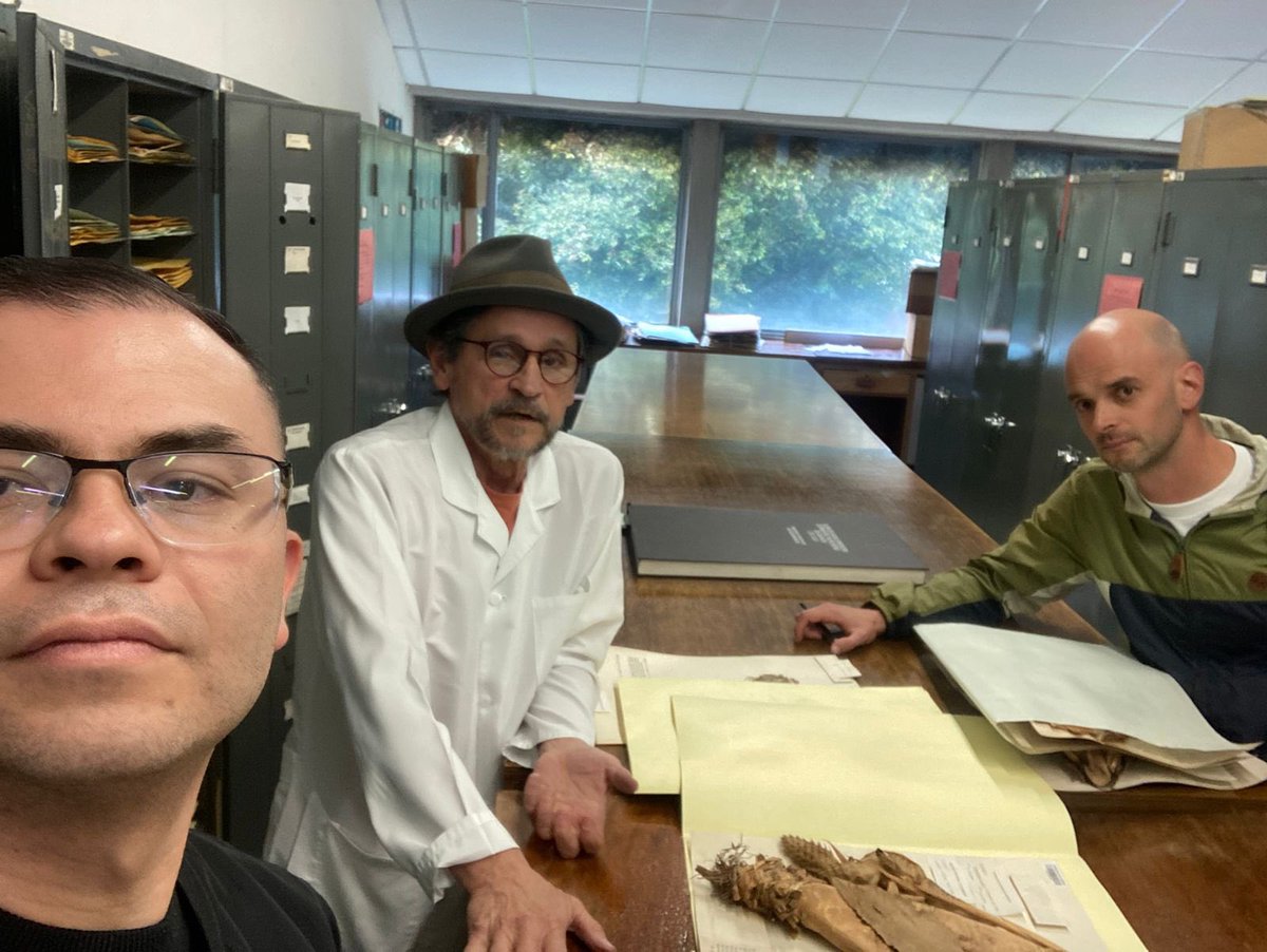 Un placer iniciar, entre archivos y herbarios, una investigación sobre María Teresa Murillo, pionera de la botánica moderna en Colombia. Aquí un tipo colectado por Mutis en 1790 y determinado por Murillo en 1983. Y qué mejor mentoría que la de J Betancur!