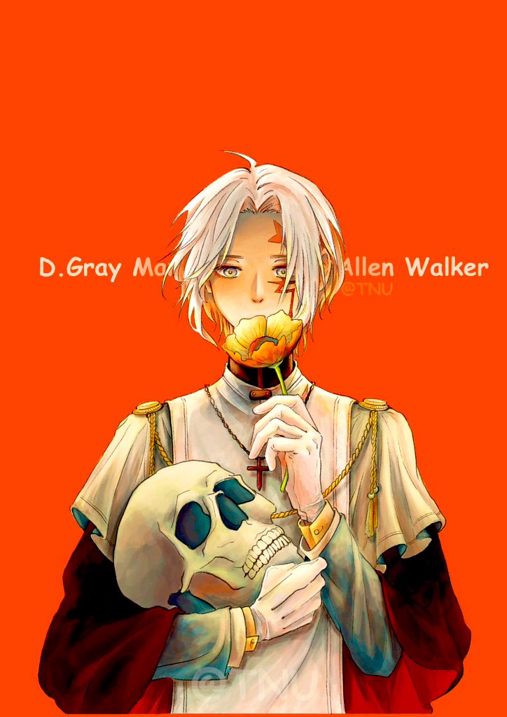 灰マン 61WeKO3e2-L._AC_UF350,