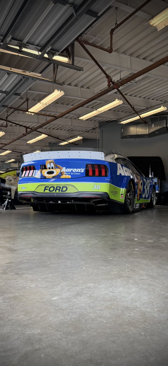 Lucky Dog🐾🦴🐾

Tomorrow is your big day!