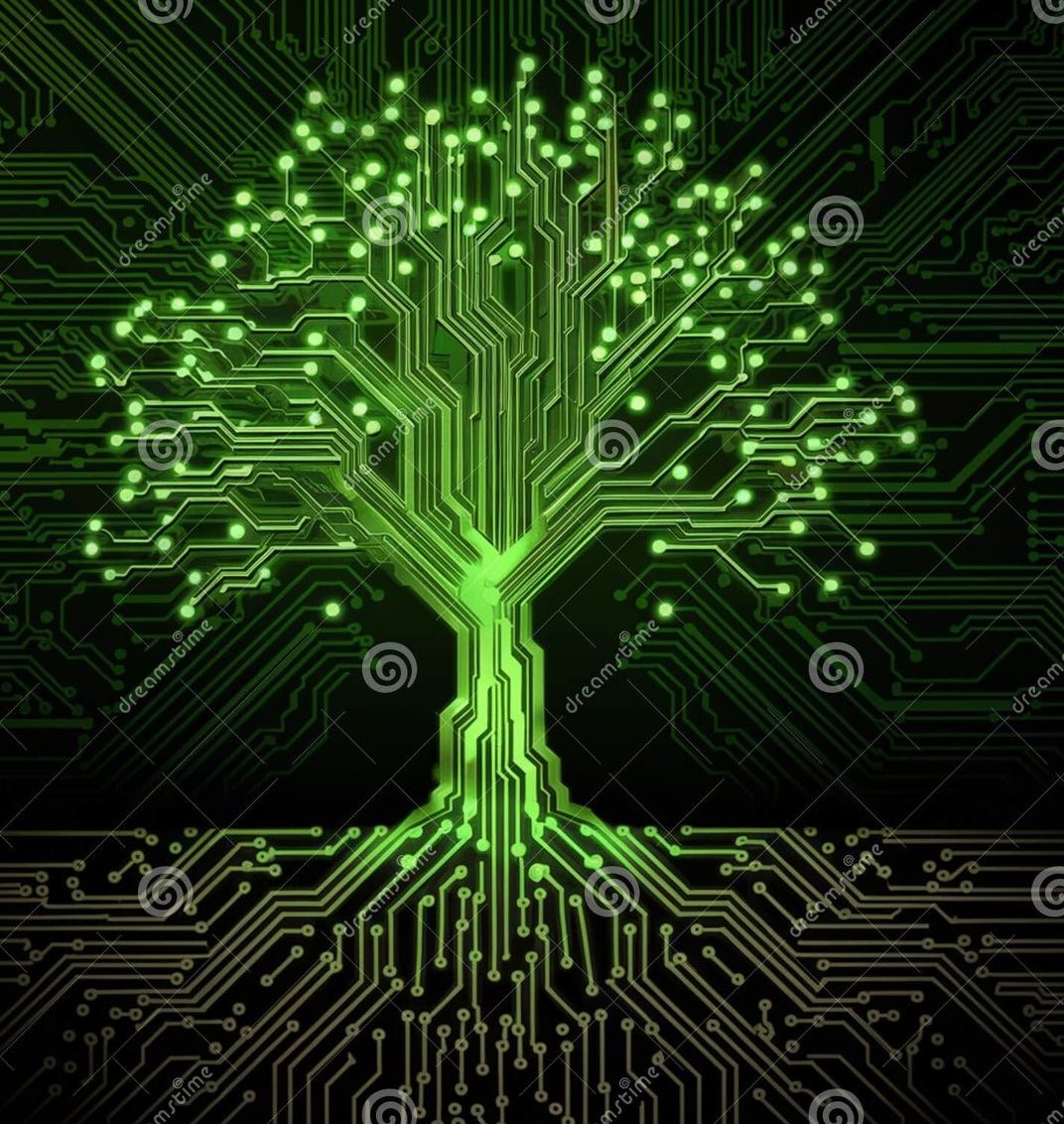 NiftyNyla's tweet photo. Every tweet is a seed.🌱

In Web3, consistency + authenticity = community growth. 

I don’t just manage social media, I help projects build movements that last. 🚀
#Web3 #CommunityGrowth #SMM https://t.co/29DjxI5BmX